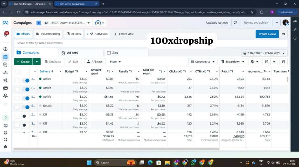 Ads Manager Results