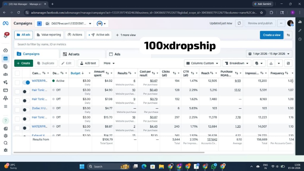 Ads Manager Results